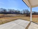 Open concrete patio with a view of a tree line, perfect for enjoying the outdoors at 1108 Piper Meadows Dr # 52, Waxhaw, NC 28173