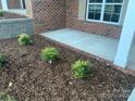 Landscaped area with mulch and young shrubs at 118 Abbington Ln, Shelby, NC 28150