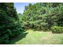 Expansive backyard featuring lush greenery, mature trees, and natural landscaping at 127 Palos Verde Rd, Mooresville, NC 28117