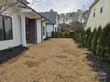 Landscaped side yard with mulch and a section of grass at 13217 Terrace Court Dr, Charlotte, NC 28278