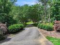 View of a long driveway with a tree canopy leading to an estate home at 6620 Old Concord Rd, Salisbury, NC 28146