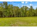 A lush green grassy field backed by trees, providing a beautiful and serene landscape at 127 Tradition Ln, Mooresville, NC 28115