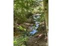 Picturesque creek running through a wooded area, adding natural beauty to the property at 460 27Th Avenue Nw Cir, Hickory, NC 28601