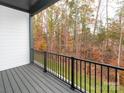 Spacious outdoor balcony with black railings, and a beautiful forest view at 428 Nathaniel Way # Brx0044, Charlotte, NC 28213