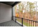 Private balcony with wooded view, perfect for relaxing and enjoying the outdoors at 432 Nathaniel Way # Brx0043, Charlotte, NC 28213