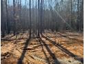 Raw land lot amid a wooded setting showing mature trees and ample natural light at 1025 Baylor Grv, Monroe, NC 28110