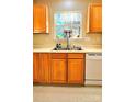 Kitchen with wood cabinets and double sink at 10105 Reindeer Way Ln, Charlotte, NC 28216