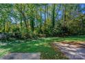 A lush, green backyard provides a peaceful and private outdoor space at 349 Dublin Ct, Gastonia, NC 28054