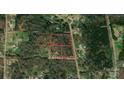Aerial view of the land parcel with red outlines on a heavily wooded lot, showing location and surrounding area at 1062 Full Count Ln, Lancaster, SC 29720