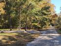 Scenic view of the driveway leading to the property surrounded by mature trees, lush greenery, and natural beauty at 1062 Full Count Ln, Lancaster, SC 29720