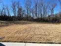 Empty lot with brown grass and trees in the background at 362 Brinkley Dr # 142, Kings Mountain, NC 28086