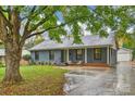 Charming ranch home with gray exterior, lush landscaping, and driveway at 1915 Wedgedale Dr, Charlotte, NC 28210