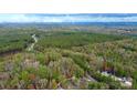 Expansive aerial view showcases the property surrounded by trees, offering privacy and a serene setting at 2164 Mission Rd, York, SC 29745