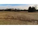 Property features a large, flat lot with mature trees at 311 Genell Ln # 29, Rock Hill, SC 29730