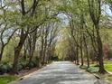 Scenic street view with a canopy of mature trees lining the road, offering a tranquil and picturesque setting at 21315 Blakely Shores Dr, Cornelius, NC 28031