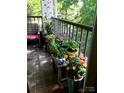 Outdoor patio with many potted plants and a wooden chair at 325 Queens Rd # 15, Charlotte, NC 28204