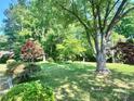 Lush backyard with mature trees, creating a private and serene setting at 16480 Indian Mound Rd, Norwood, NC 28128