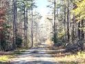 Driveway into a wooded area with tall trees at 1964 Nc Hwy 134 N Hwy # 4, Troy, NC 27371