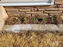 Stone planter with pine straw and early spring flowers at 1116 East Dr, Gastonia, NC 28052