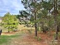 Wooded vacant lot with pond view at 14108 Rhone Valley Dr, Charlotte, NC 28278