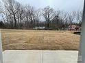 View of backyard from patio, showing treeline and grassy area at 214 Brinkley Dr # 9, Kings Mountain, NC 28086