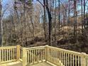 Wooden deck overlooking a wooded area with tall trees at Lot 72.73 Sally Clark Dr, Denver, NC 28037