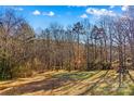 Wooded backyard with a grassy area and a wooden picnic table at 539 Bethlehem Rd, Statesville, NC 28677