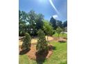 Beautifully landscaped yard with lush green grass, meticulously mulched plant beds, and strategically planted trees at 421 Delburg Mill Alley Dr, Davidson, NC 28036