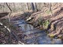 Small creek flows through a wooded area at 338 Piney Grove Rd, Harmony, NC 28634