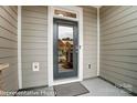 Modern front door entrance with glass panel and sidelights at 4268 Black Ct # 229, Harrisburg, NC 28075