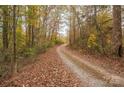 Long winding driveway through colorful wooded area of the property at 2073 Mauney Rd, Bessemer City, NC 28016