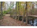 Still pond surrounded by trees, reflecting foliage in the calm water at 2073 Mauney Rd, Bessemer City, NC 28016