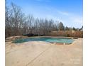 Freeform pool with stone accents and fountains at 8440 Mossy Cup Trl, Harrisburg, NC 28075