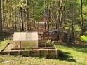 A greenhouse and chicken coop in the backyard surrounded by lush trees and greenery at 888 Brevard Place Rd, Iron Station, NC 28080