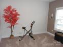 Small room with exercise bike and artificial tree at 106 Milliner Dr # 97, Troutman, NC 28166