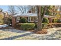 Brick Ranch home with snowy front yard and large tree at 4419 Halstead Dr, Charlotte, NC 28209