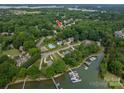 A lush green canopy with boats docked in the water offering a serene and picturesque waterfront setting at 133 Castaway Trl, Mooresville, NC 28117