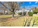 Brick ranch home with mature trees and yard at 11816 Park Rd, Charlotte, NC 28226