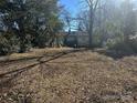 Large backyard with mature trees at 1004 Druid Cir, Charlotte, NC 28206