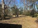 Spacious backyard with grill and trees at 1004 Druid Cir, Charlotte, NC 28206