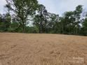 Large, cleared backyard with newly planted grass, surrounded by mature trees and lush greenery at 211 Benfield Rd, Kings Mountain, NC 28086