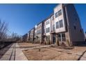 Row of townhomes, showcasing a consistent design and landscaping at 824 Broad River Ln, Charlotte, NC 28211