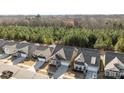 Aerial view of well-manicured homes with mature trees, showcasing community layout and design at 240 Portrait Way # 87, Indian Trail, NC 28079