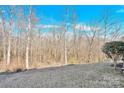 Wooded area behind a residential property at 1227 Mountain Laurel Ct, Matthews, NC 28104