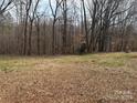 Wooded backyard with grassy area at 206 Barnyard Ln, Statesville, NC 28625