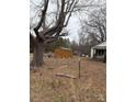 Rustic yard with shed and trees at 206 Barnyard Ln, Statesville, NC 28625