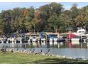 Scenic view of a dock with numerous boats and geese by the water's edge at 16721 Spinnaker Ln, Cornelius, NC 28031