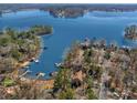 Scenic aerial view of lakefront properties nestled among trees with private docks at 1077 Gauguin Ln, Tega Cay, SC 29708