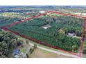 Large, private land parcel with planted pine trees and a pond; property border for reference only at 11001 Mount Holly Hntrsvlle Rd, Huntersville, NC 28078