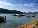 Scenic view of the docks on Lake Tillery, ideal for boating, fishing, and water activities at 339 Pine Lake Dr # 760, Troy, NC 27371
